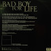Puff Daddy, Black Rob, Mark Curry - Bad Boy For Life